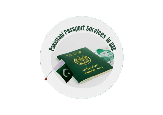 p12-removebg-preview